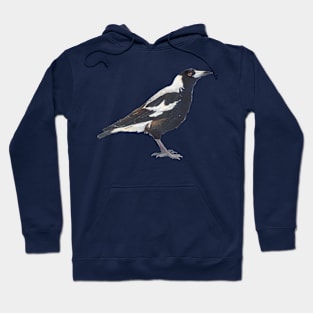 Australian magpie - black & white bird Hoodie